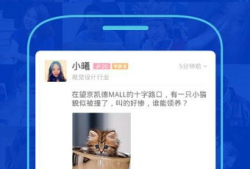 91看手机直播免费下载,免费下载畅享无限精彩